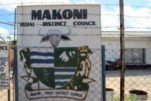 Challenges Faced by Women-Led Enterprises in Zimbabwe: The Case of Makoni Business Center.